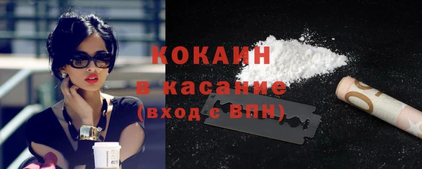 шишки Балабаново