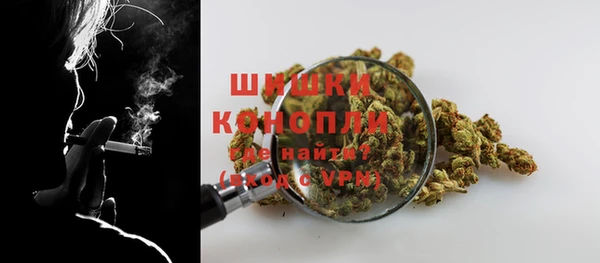 шишки Балабаново