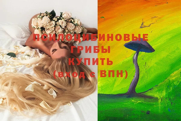шишки Балабаново