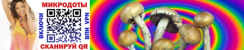 купить  сайты  Новая Ляля  Псилоцибиновые грибы прущие грибы 